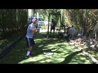 Ryan Rodriguez-Mena Baseball Video