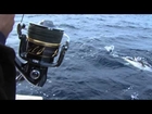 Italian Fishing TV - Shimano - Spinning Offshore Winter Tuna