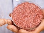 Scientists create test-tube burger with lab-grown beef