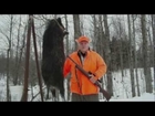 Russian Boar - Hunter Brings Home The Bacon