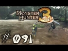Let's Play² Monster Hunter Tri [Online] #091 [German] - Käferprobleme und Arena-Schlachten