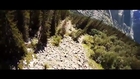 Best of Wingsuit 2013 - Compilation