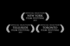 The Invisible Woman (2013): The-invisible-woman-trailer