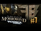 Morrowind - Все ближе к Вивеку! [часть 7]
