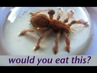 Would you eat a spider? Food Art Jello Art HOW TO COOK THAT Ann Reardon Gelatina