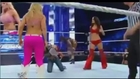 AJ Lee vs Brie Bella WWE Divas Championship