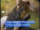Godzilla vs King Ghidorah 1991 Behind the Scenes