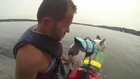 Meet Enzo the wakesurfing French Bulldog