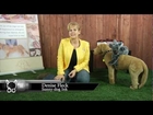 Pet World Insider Presents...Pet First Aid...With Denise Fleck.